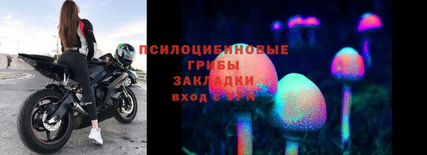 MESCALINE Коряжма