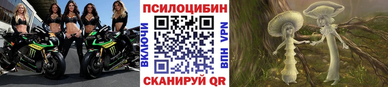 Галлюциногенные грибы Magic Shrooms  Купить где  Благодарный 